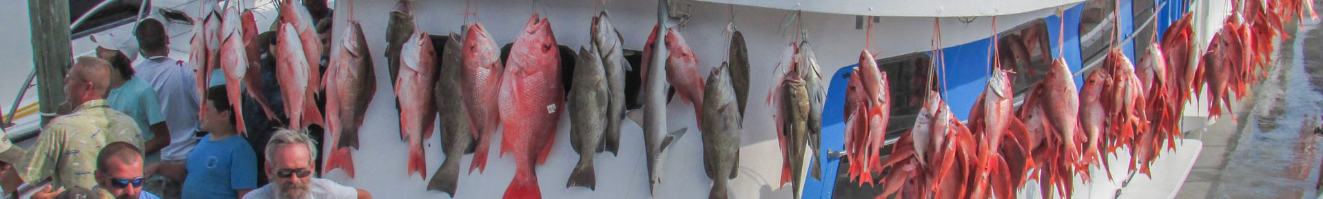 deep sea fishing trips for cheap