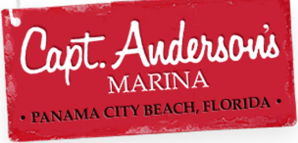 dolphin tours panama city beach prices