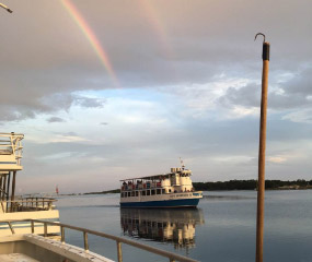 Book a shell island cruise & dolphin tour in Panama City Beach, Florida with Capt Anderson's Marina